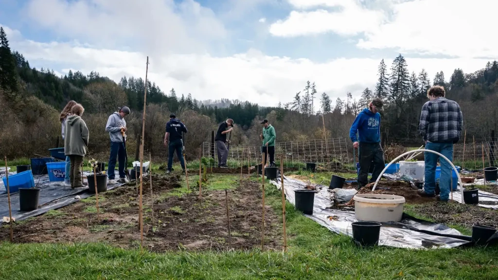Volunteers plant seedlings in a spacious outdoor garden beneath cloudy skies, with trees all around.