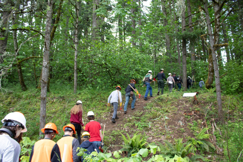 Hikers in helmets and safety gear walk up a lush, forested trail surrounded by green trees and plants.