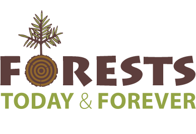 Forests Today & Forever
